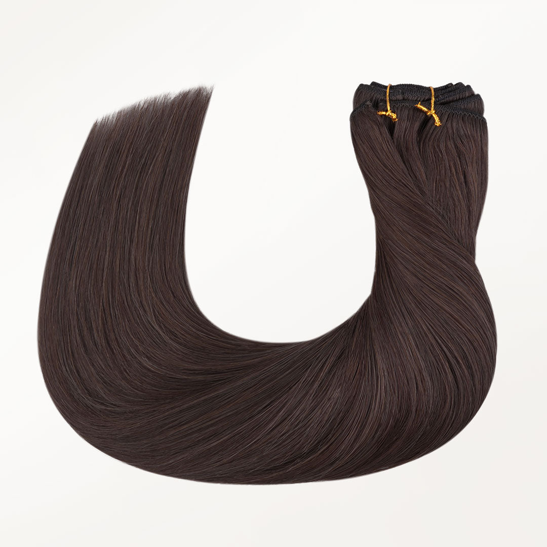 Classic Clip in Hair Extensions